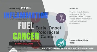 Inflammation's Role: Uncovering How Chronic Inflammation Fuels Cancer Growth