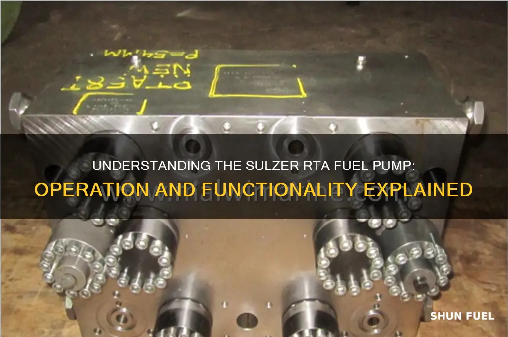 how does it work sulzer rta fuel pump