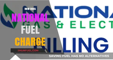 Understanding National Fuel Charges: Costs, Factors, and Billing Explained