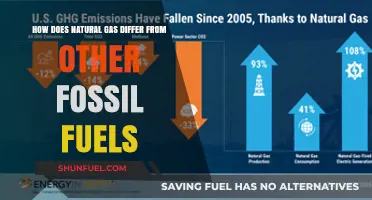 Natural Gas vs. Fossil Fuels: Key Differences and Unique Benefits