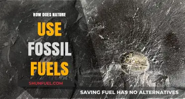 Nature's Fossil Fuel Secrets: Formation, Utilization, and Environmental Impact