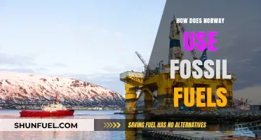 Norway's Fossil Fuel Strategy: Balancing Energy Needs and Sustainability