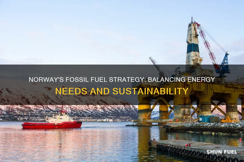 how does norway use fossil fuels