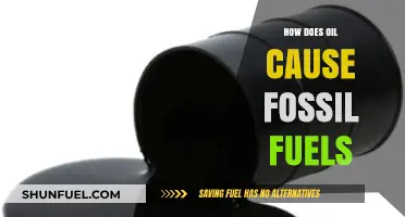 Understanding Oil's Role in the Formation of Fossil Fuels