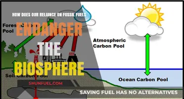 Fossil Fuel Dependence: A Looming Threat to Earth's Biosphere