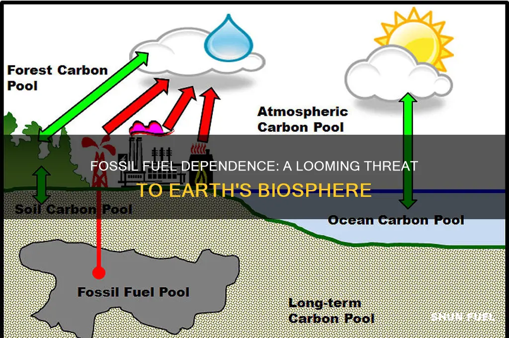 how does our reliance on fossil fuels endanger the biosphere