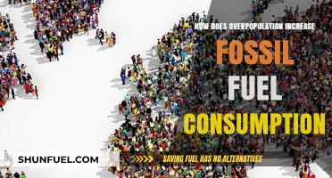 Overpopulation's Impact: Rising Fossil Fuel Demand and Environmental Consequences