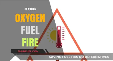 Oxygen's Fiery Role: How It Fuels and Sustains Combustion