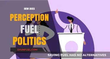 Perception's Power: Shaping Political Narratives and Public Opinion