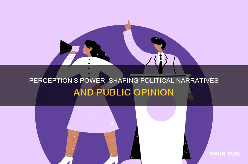 how does perception fuel politics