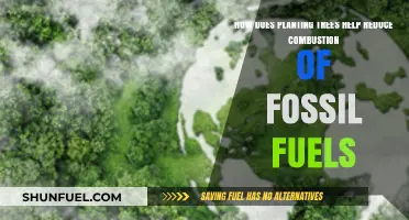 Planting Trees: A Natural Solution to Reduce Fossil Fuel Combustion