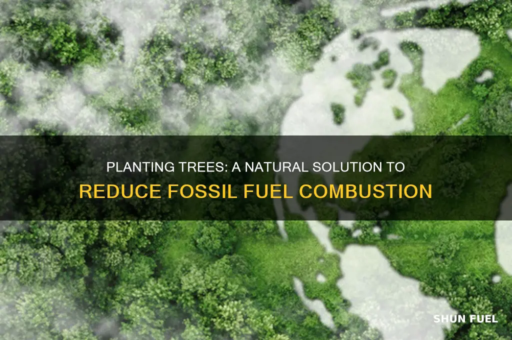 how does planting trees help reduce combustion of fossil fuels