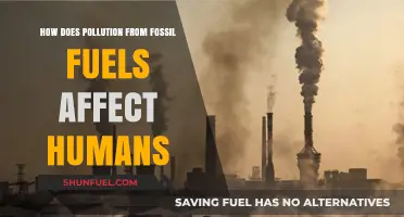Fossil Fuel Pollution: Harming Human Health and the Environment
