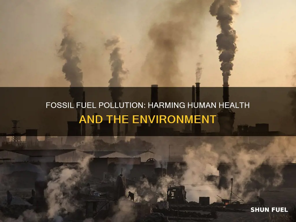 how does pollution from fossil fuels affect humans