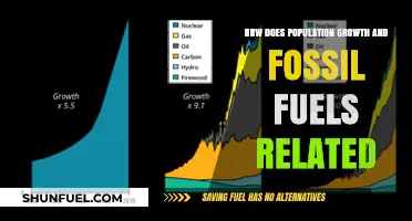 Population Growth's Impact on Fossil Fuel Demand and Sustainability
