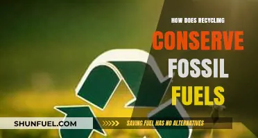 Recycling's Role: Conserving Fossil Fuels for a Sustainable Future