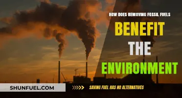 Eliminating Fossil Fuels: Environmental Benefits and a Sustainable Future