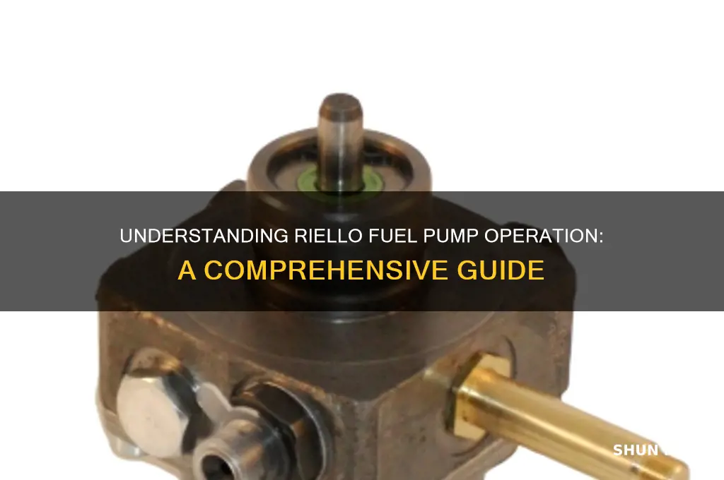 how does riello fuel pump work