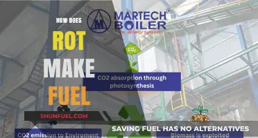 Rot to Fuel: Unlocking Bioenergy Through Organic Decomposition