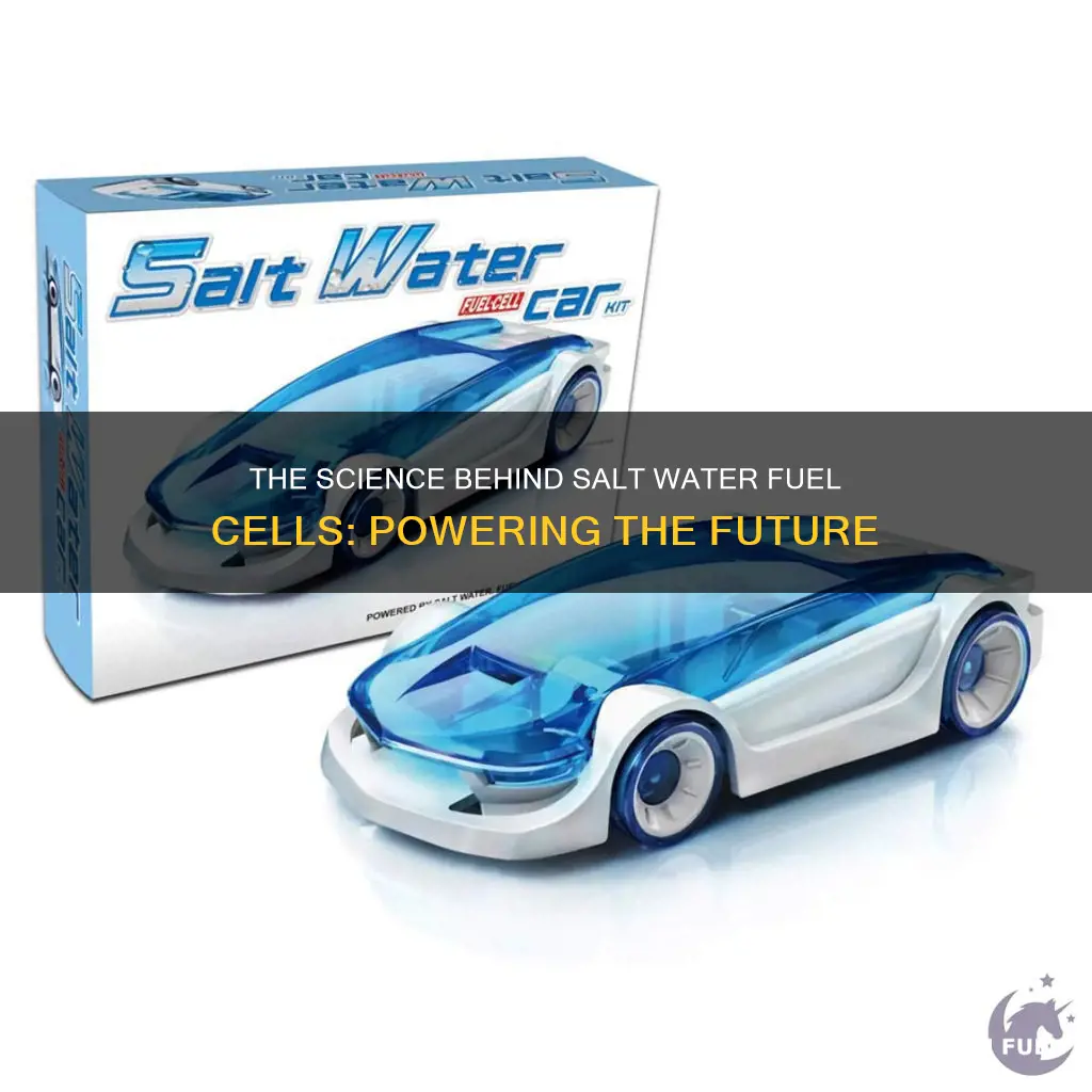 how does salt water fuel cell car work