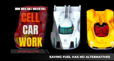 Salt Water Fuel Cell Cars: Powering the Future