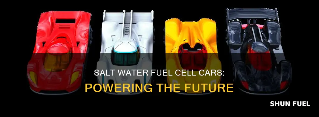 how does salt water fuel cell car work