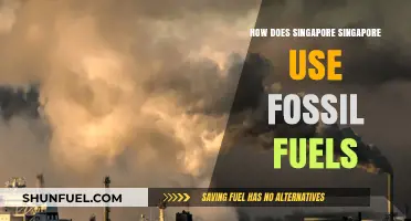 Singapore's Energy Reliance: Fossil Fuels in a Sustainable City-State