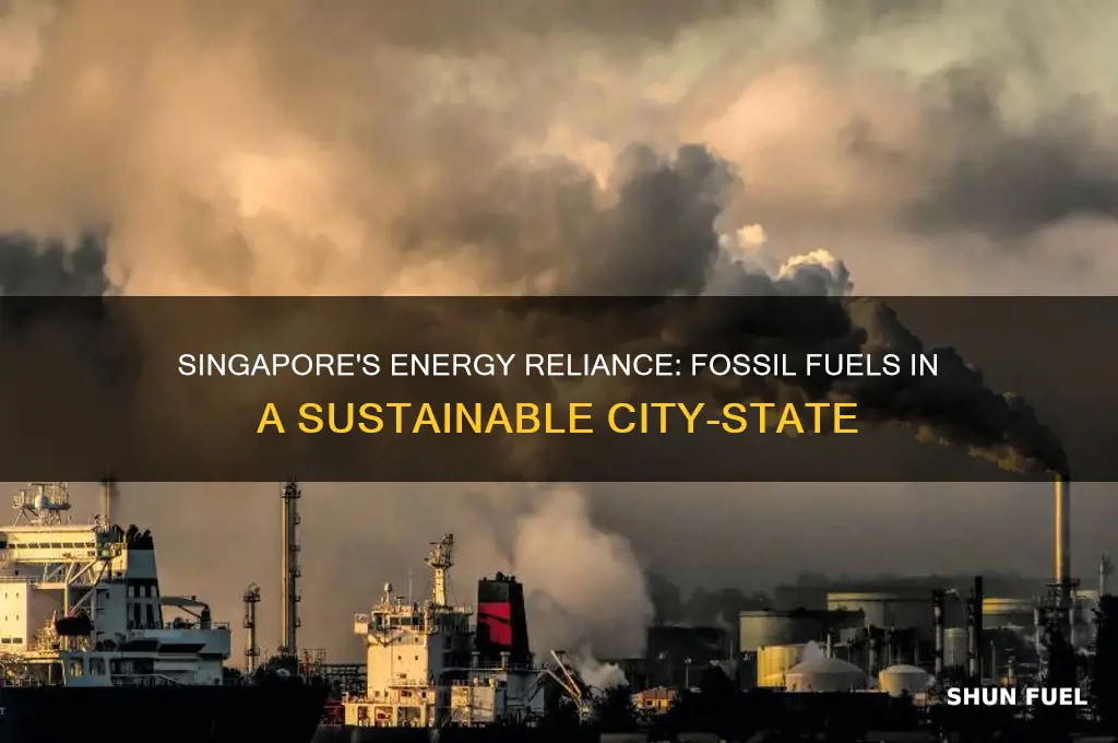 how does singapore singapore use fossil fuels