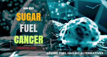 Sugar's Dark Role: How Glucose Fuels Cancer Growth and Progression