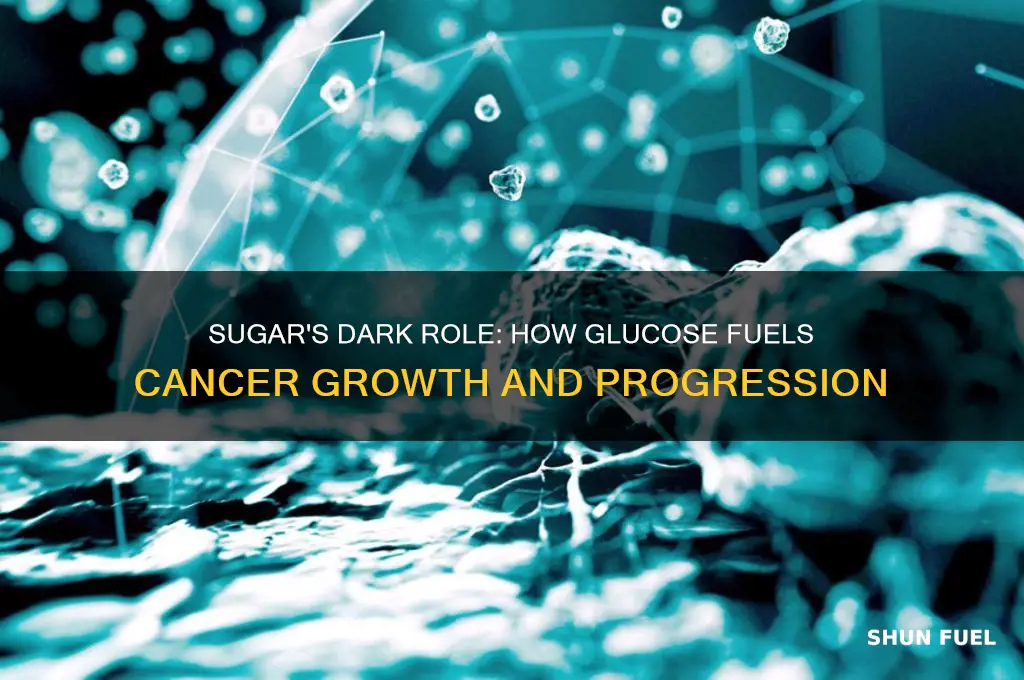 how does sugar fuel cancer