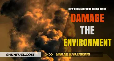 Sulfur in Fossil Fuels: Environmental Impacts and Ecological Consequences