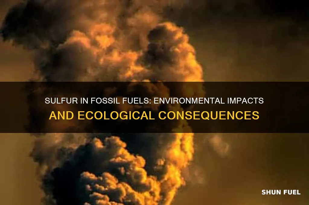 how does sulfur in fossil fuels damage the environment