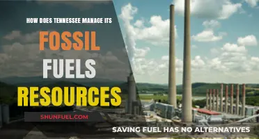 Tennessee's Fossil Fuel Management: Strategies, Challenges, and Sustainability Efforts