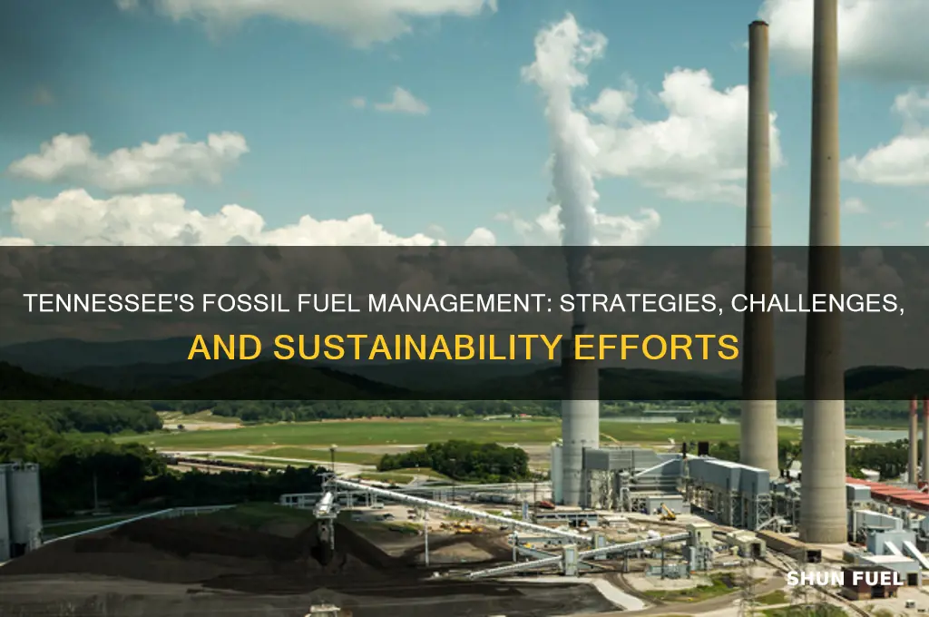 how does tennessee manage its fossil fuels resources
