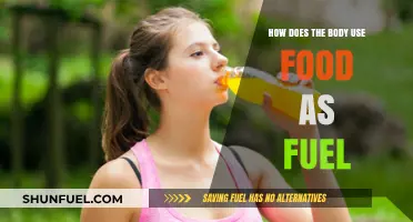 How Your Body Converts Food into Energy for Daily Fuel