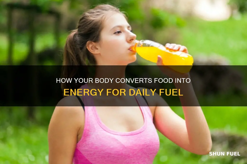 how does the body use food as fuel