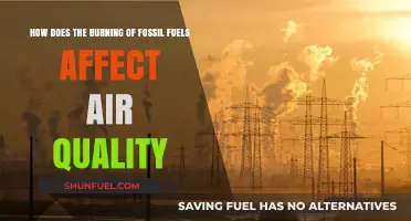 Fossil Fuel Combustion: Its Impact on Air Quality and Health
