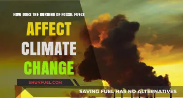Fossil Fuel Combustion: Accelerating Climate Change and Environmental Consequences
