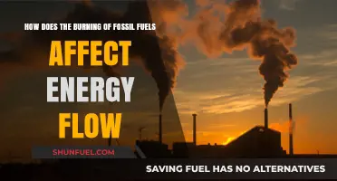 Fossil Fuel Combustion: Disrupting Earth's Energy Flow and Climate Balance