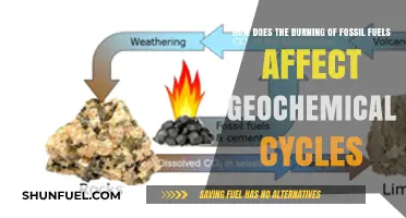 Fossil Fuel Combustion: Disrupting Earth's Geochemical Cycles and Ecosystems