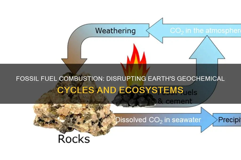how does the burning of fossil fuels affect geochemical cycles