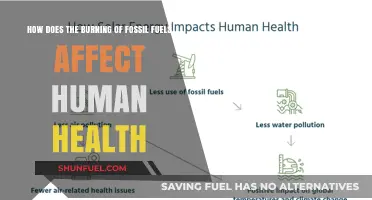 Fossil Fuel Emissions: Uncovering Their Devastating Impact on Human Health