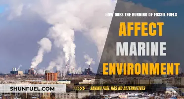 Fossil Fuel Combustion's Devastating Impact on Marine Ecosystems Explained
