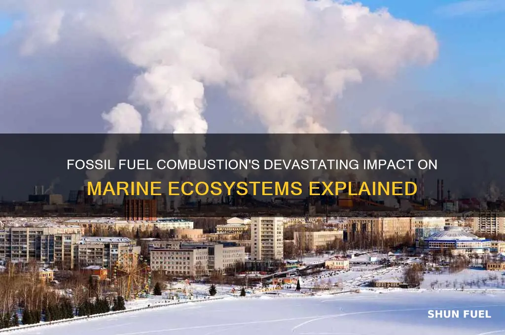 how does the burning of fossil fuels affect marine environment