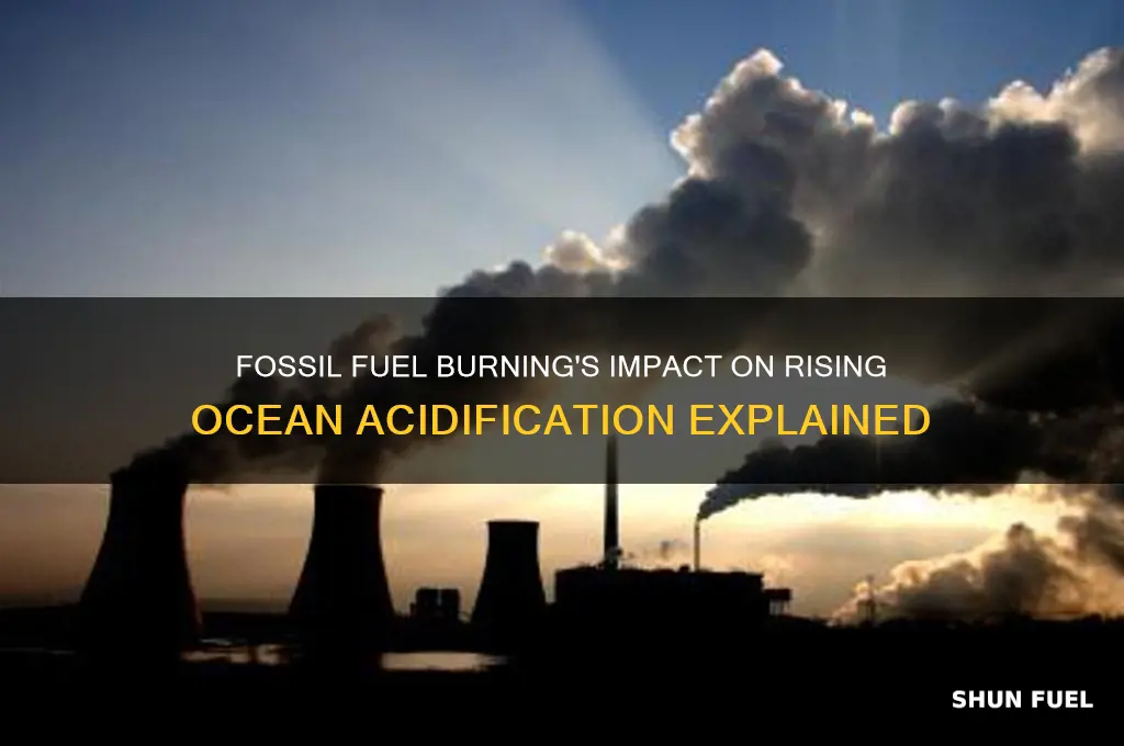 how does the burning of fossil fuels affect ocean acidification