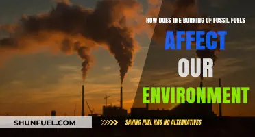 Fossil Fuel Combustion: Environmental Impacts and Urgent Need for Change