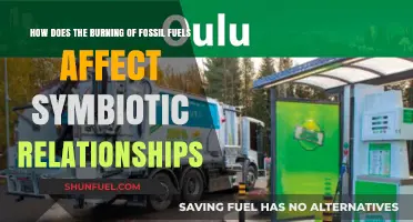 Fossil Fuel Emissions Disrupt Delicate Symbiotic Ecosystems: Understanding the Impact