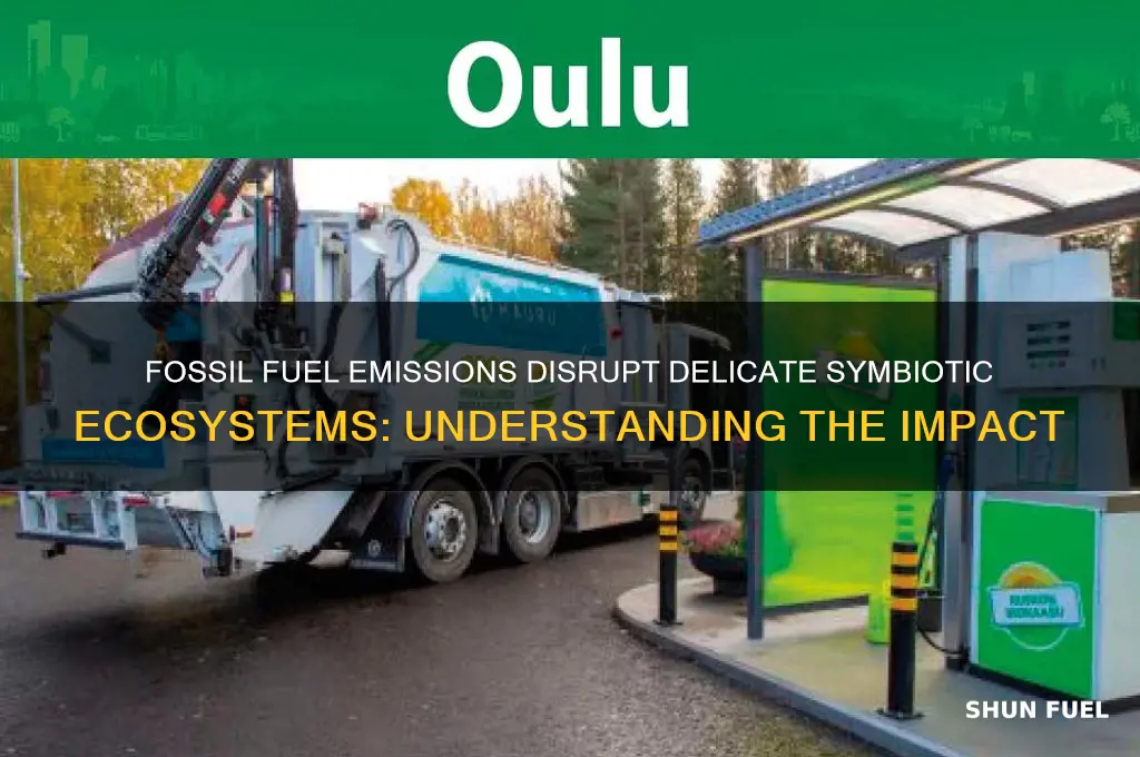 how does the burning of fossil fuels affect symbiotic relationships
