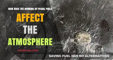 Fossil Fuel Combustion: Atmospheric Impacts and Climate Change Consequences