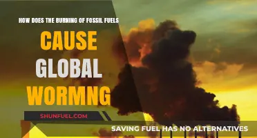 Fossil Fuel Combustion: The Primary Driver of Global Warming Explained